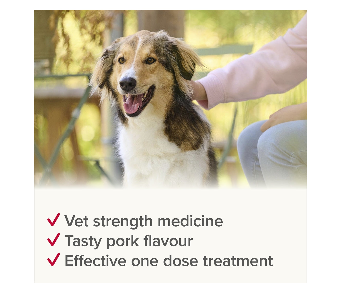 Beaphar - WORMclear Worming Tablets for Dogs up to 40kg (4 Pack) - Buy Online SPR Centre UK