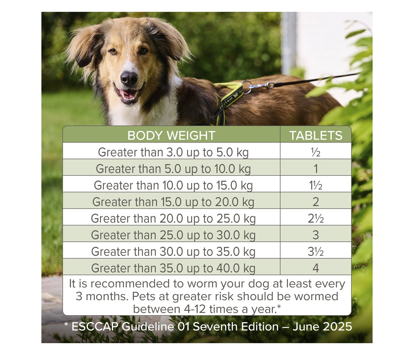 Beaphar - WORMclear Worming Tablets for Dogs up to 40kg (4 Pack) - Buy Online SPR Centre UK