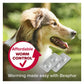 Beaphar - WORMclear Worming Tablets for Dogs up to 40kg (4 Pack) - Buy Online SPR Centre UK