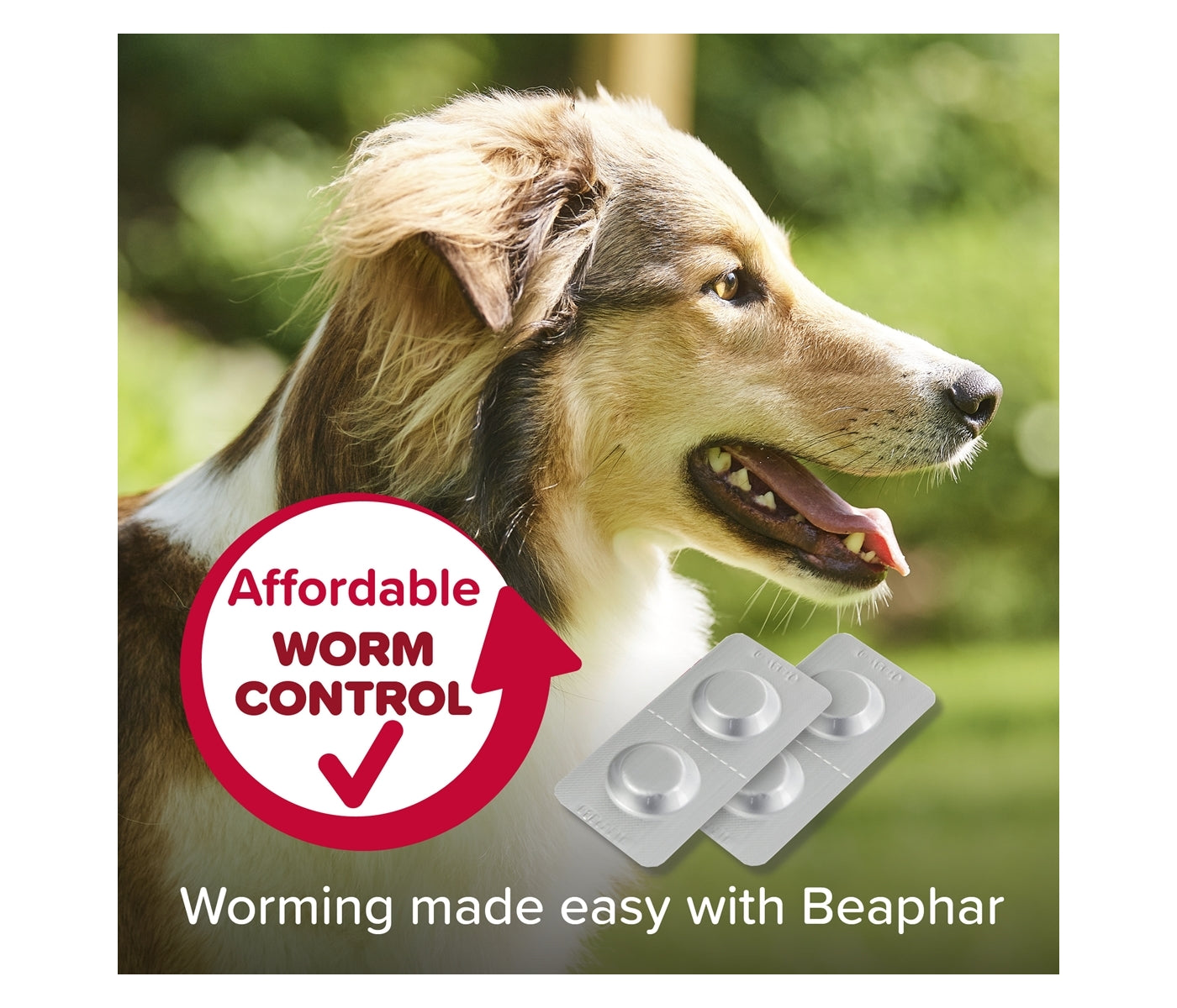 Beaphar - WORMclear Worming Tablets for Dogs up to 40kg (4 Pack) - Buy Online SPR Centre UK