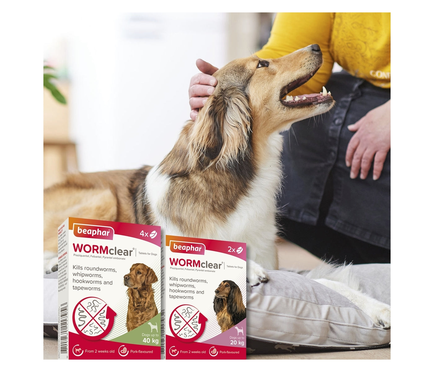 Beaphar - WORMclear Worming Tablets for Dogs up to 40kg (4 Pack) - Buy Online SPR Centre UK