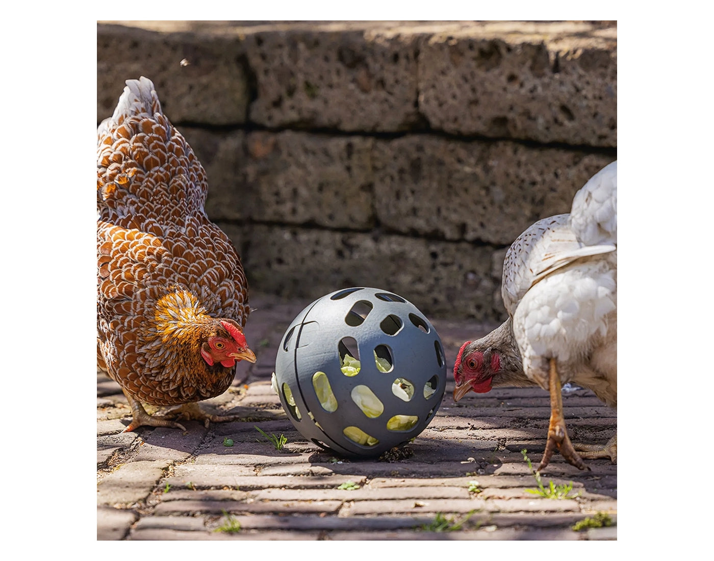 Beeztees - Chicken Snack Ball - Buy Online SPR Centre UK