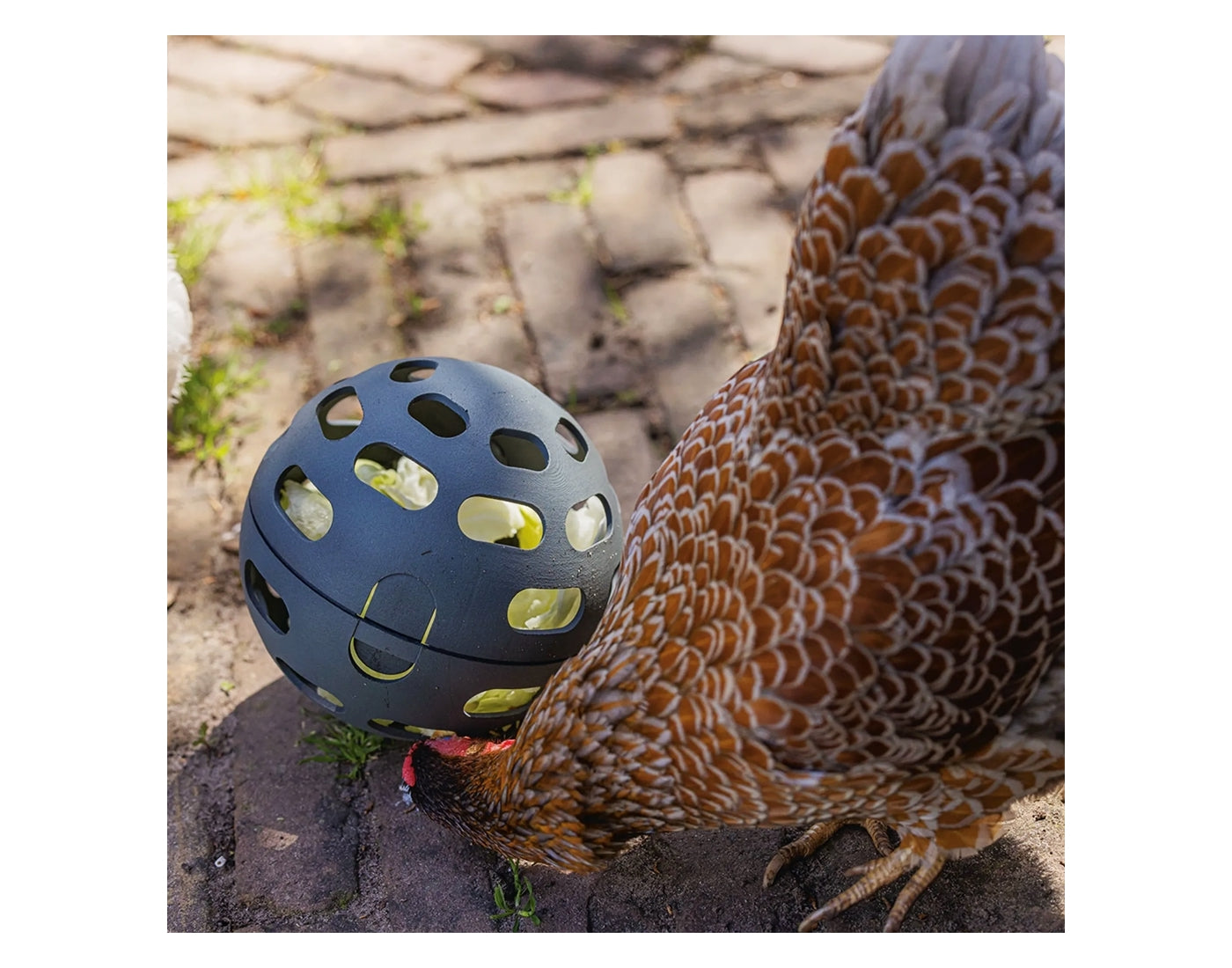 Beeztees - Chicken Snack Ball - Buy Online SPR Centre UK