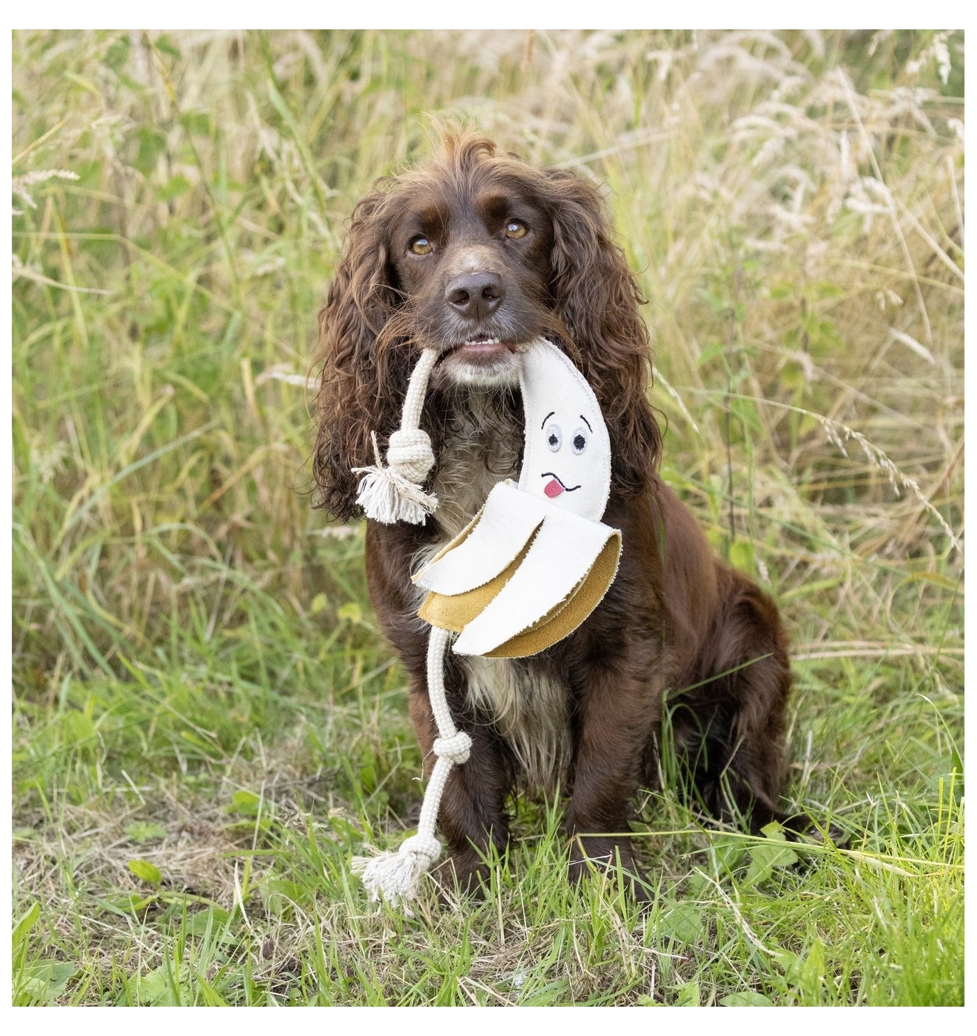 Benji & Flo - 'Crazy Faces' Go Bananas - Suede Dog Toy