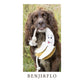 Benji & Flo - 'Crazy Faces' Go Bananas - Suede Dog Toy