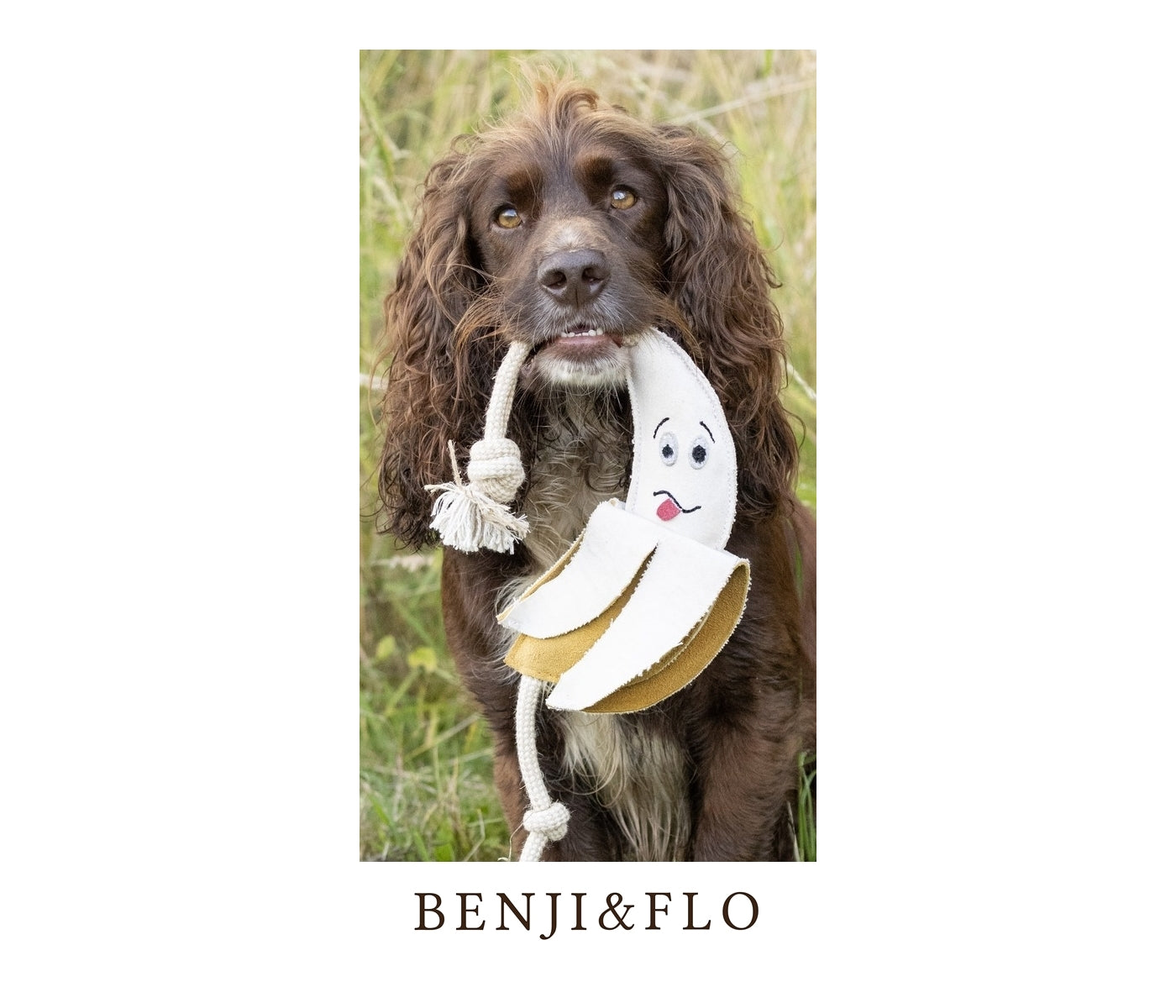 Benji & Flo - 'Crazy Faces' Go Bananas - Suede Dog Toy