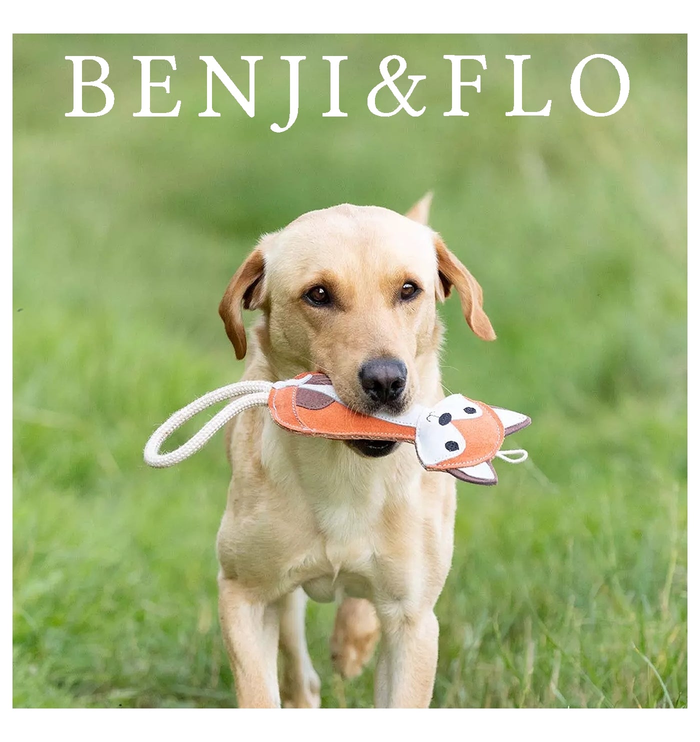 Benji & Flo - Reynard the Fox Suede Dog Toy - Buy Online SPR Centre UK