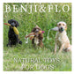 Benji & Flo - Reynard the Fox Suede Dog Toy - Buy Online SPR Centre UK