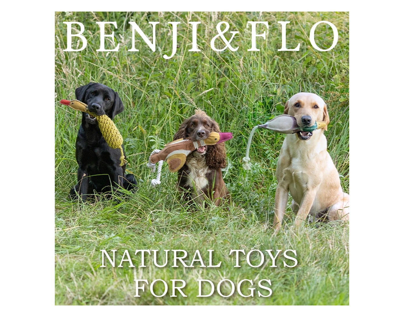 Benji & Flo - Reynard the Fox Suede Dog Toy - Buy Online SPR Centre UK