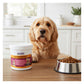 Blooming Pets - Inner Balance Probiotics - Buy Online SPR Centre UK