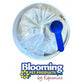 Blooming Pets - Inner Balance Probiotics - Buy Online SPR Centre UK