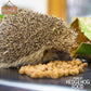 Brambles - Crunchy Hedgehog Food 900g - Buy Online SPR Centre UK