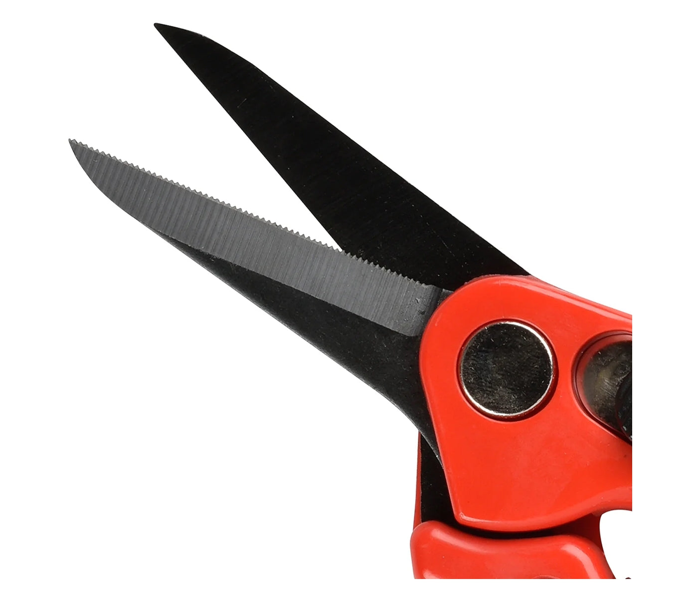 Burgon & Ball - Serrated Supersharp Footrot Shears - Buy Online SPR Centre UK