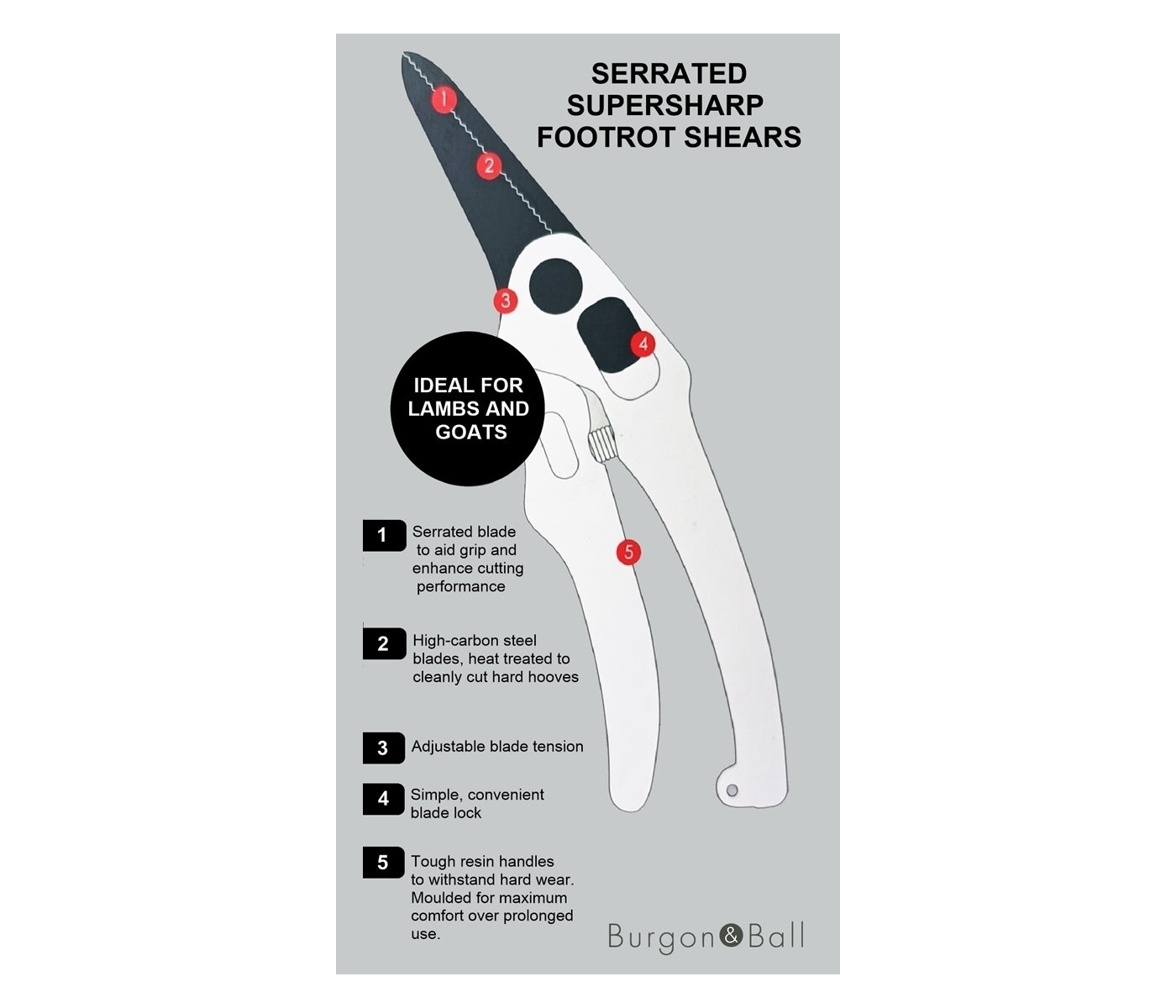 Burgon & Ball - Serrated Supersharp Footrot Shears - Buy Online SPR Centre UK