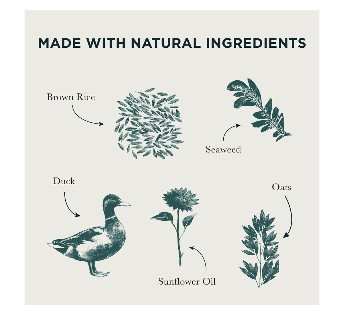 Burns - Sensitive Adult/Senior Dog Food (Duck & Brown Rice) - Buy Online SPR Centre UK
