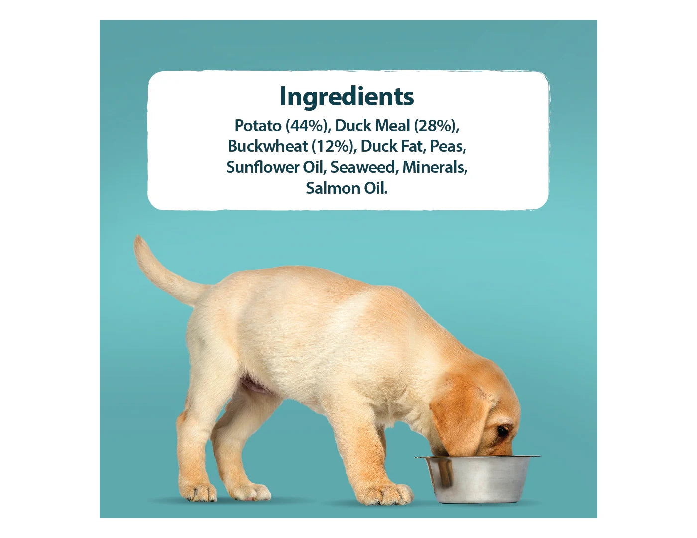 Burns - Grain Free Puppy/Junior (Duck & Potato) - Buy Online SPR Centre UK