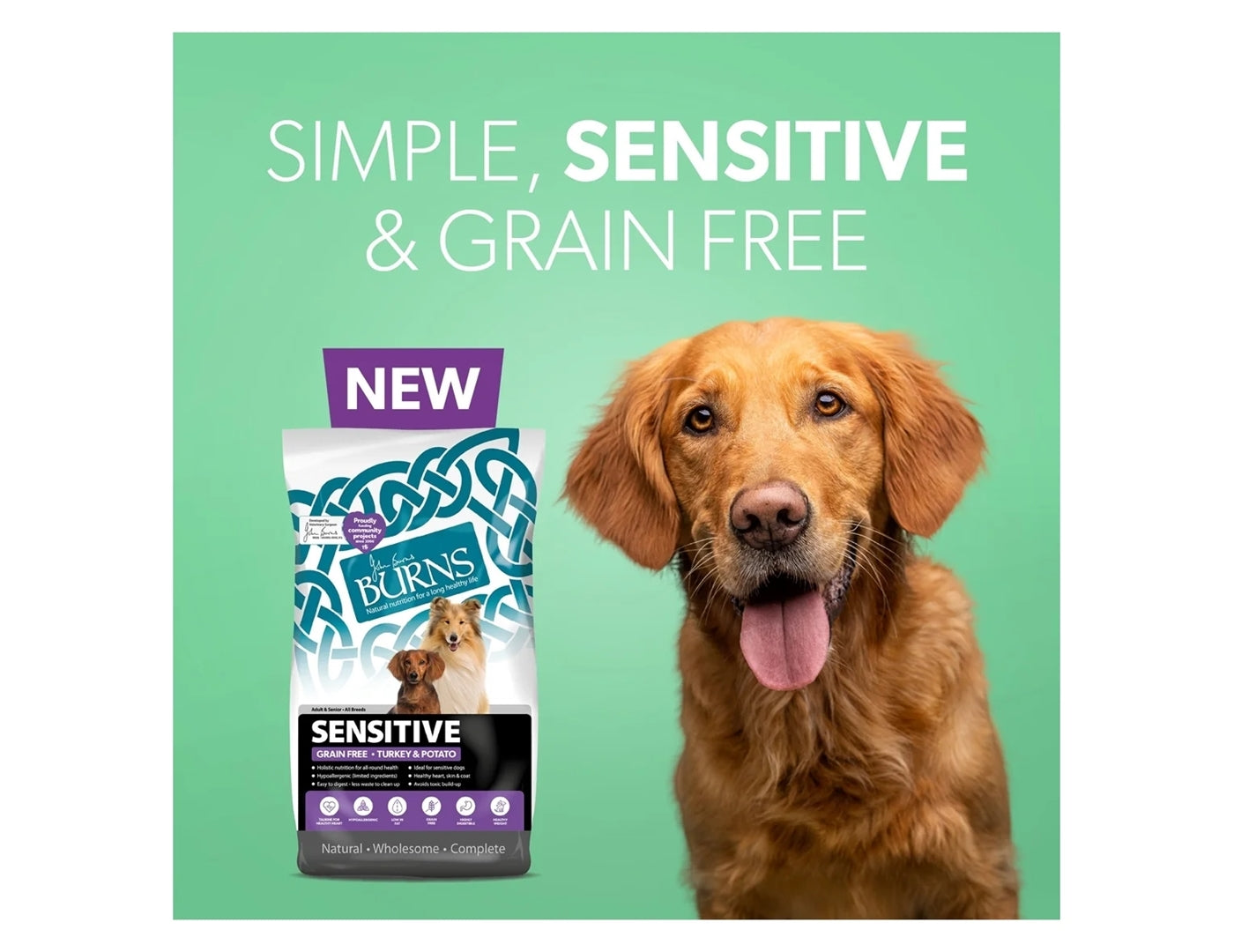 Burns - Sensitive Adult/Senior Dog Food (Turkey & Potato) - Buy Online SPR Centre UK