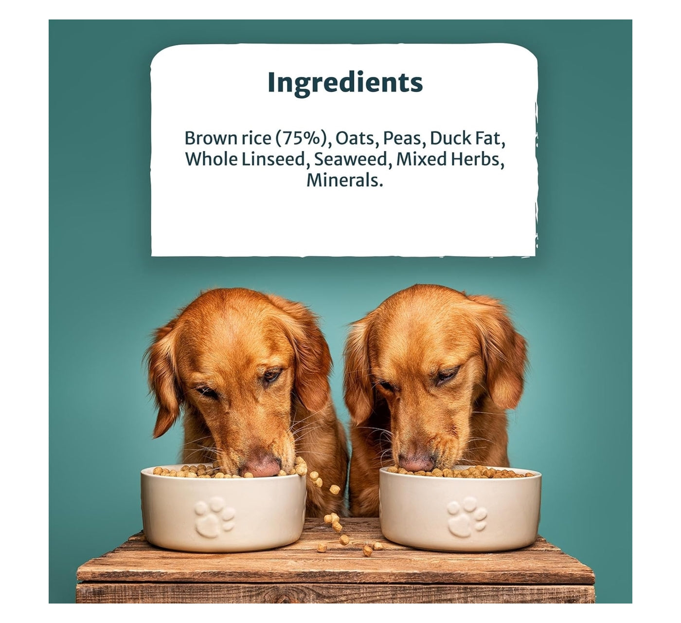 Burns - Adult/Senior Hypoallergenic Mixer Dog Food - 2kg