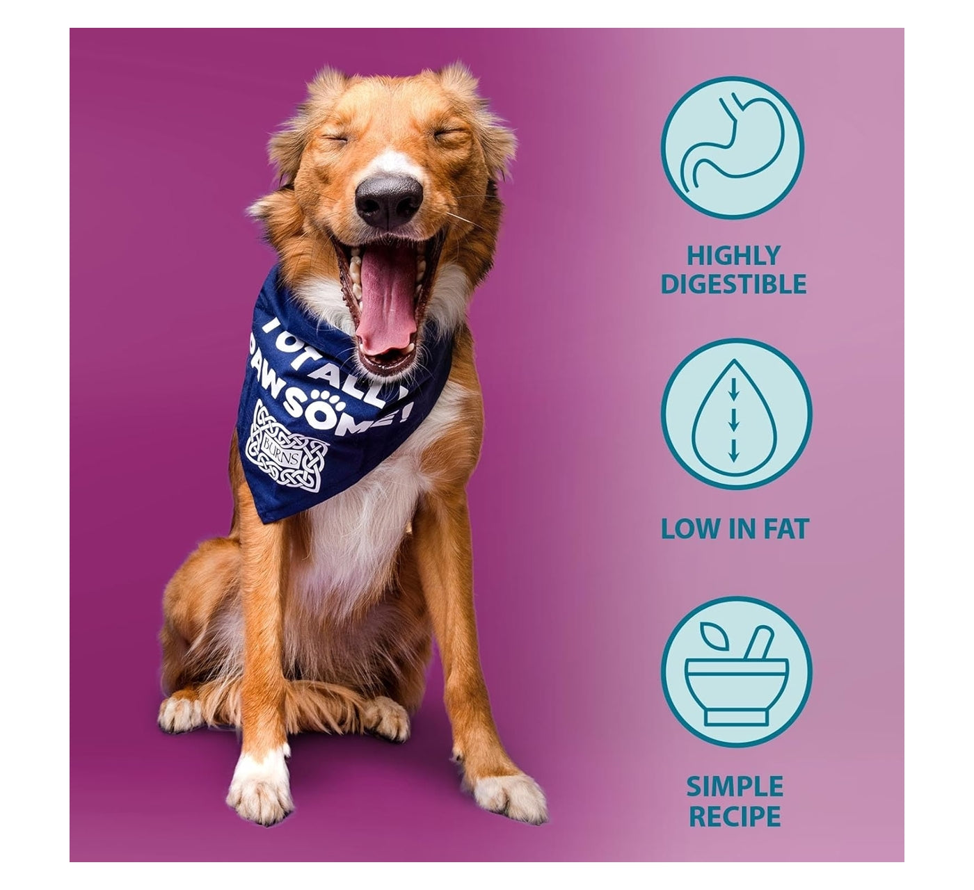 Burns - Adult/Senior Hypoallergenic Mixer Dog Food - 2kg