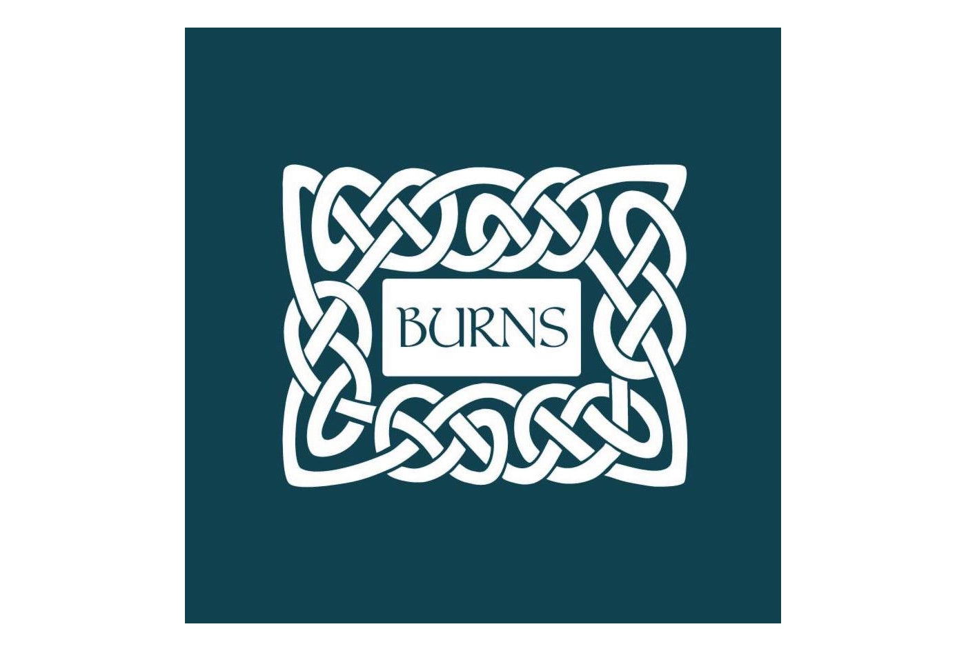 Burns - Sensitive Adult/Senior Dog Food (Turkey & Potato) - Buy Online SPR Centre UK
