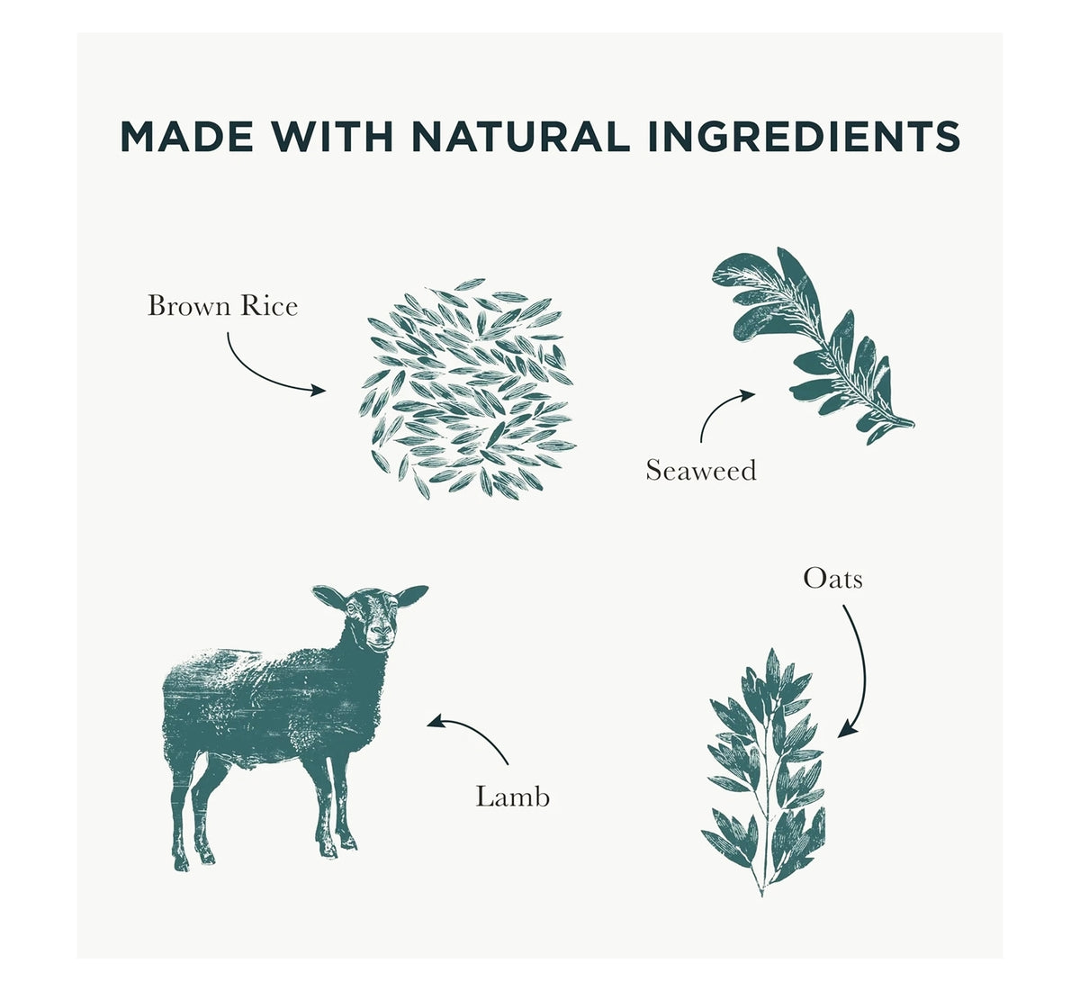 Burns - Adult/Senior Dog Food (Lamb & Brown Rice) - Buy Online SPR Centre UK