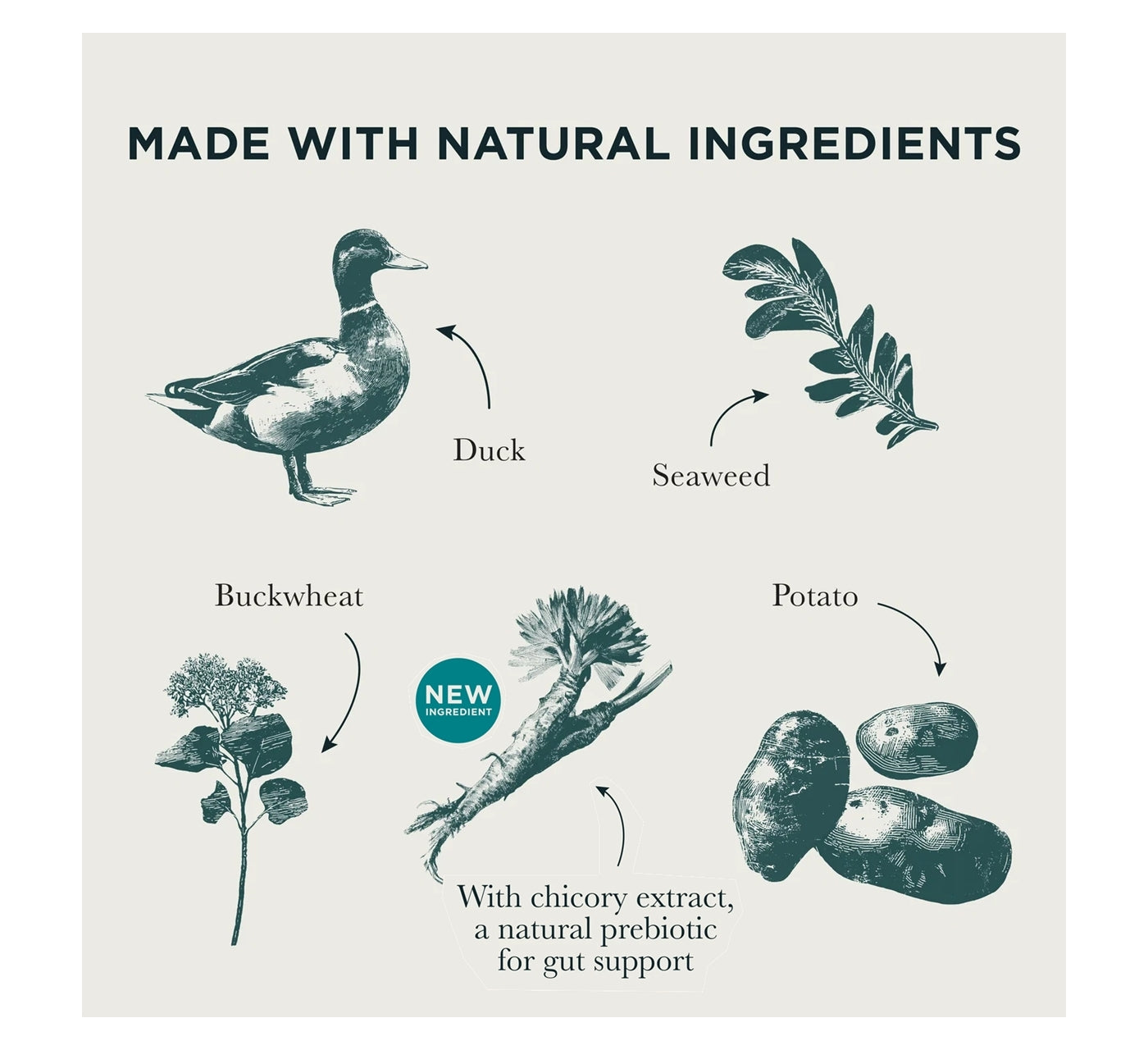 Burns - Grain Free Duck & Potato Dry Dog Food 2kg - Buy Online SPR Centre UK