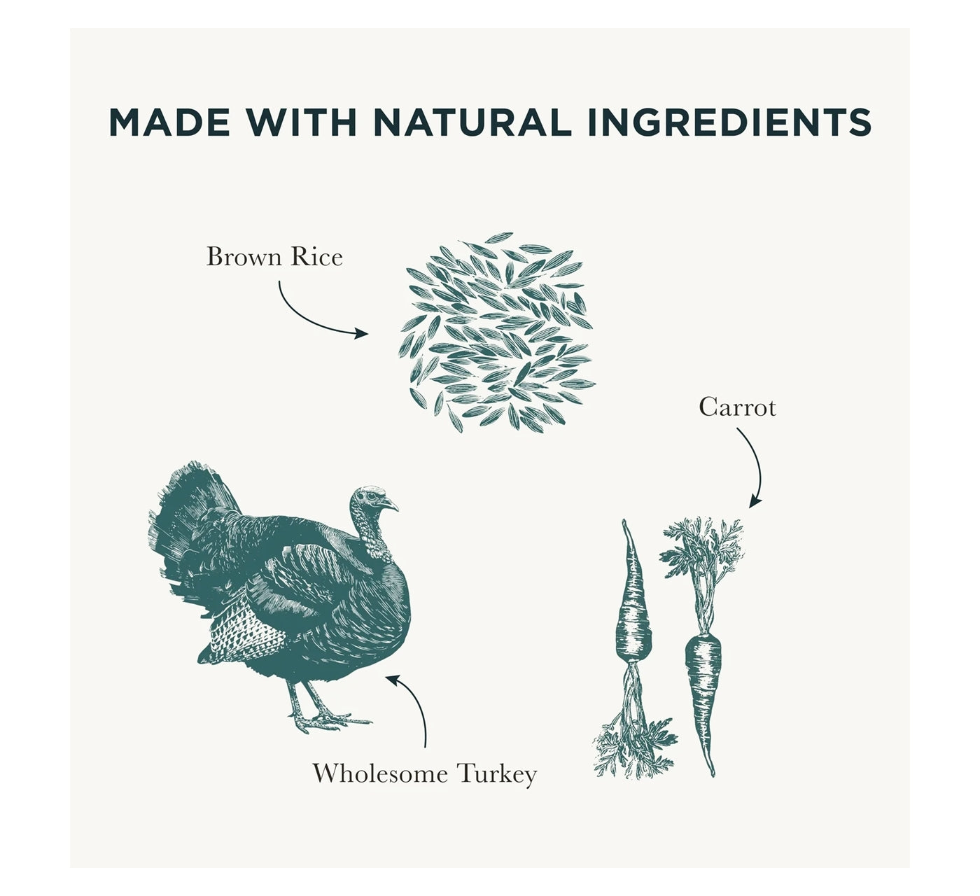 Burns - Adult/Senior Grain Free Dog Food (Turkey & Potato)