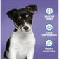 Burns - Puppy/Junior Chicken & Rice 2kg - Buy Online SPR Centre UK