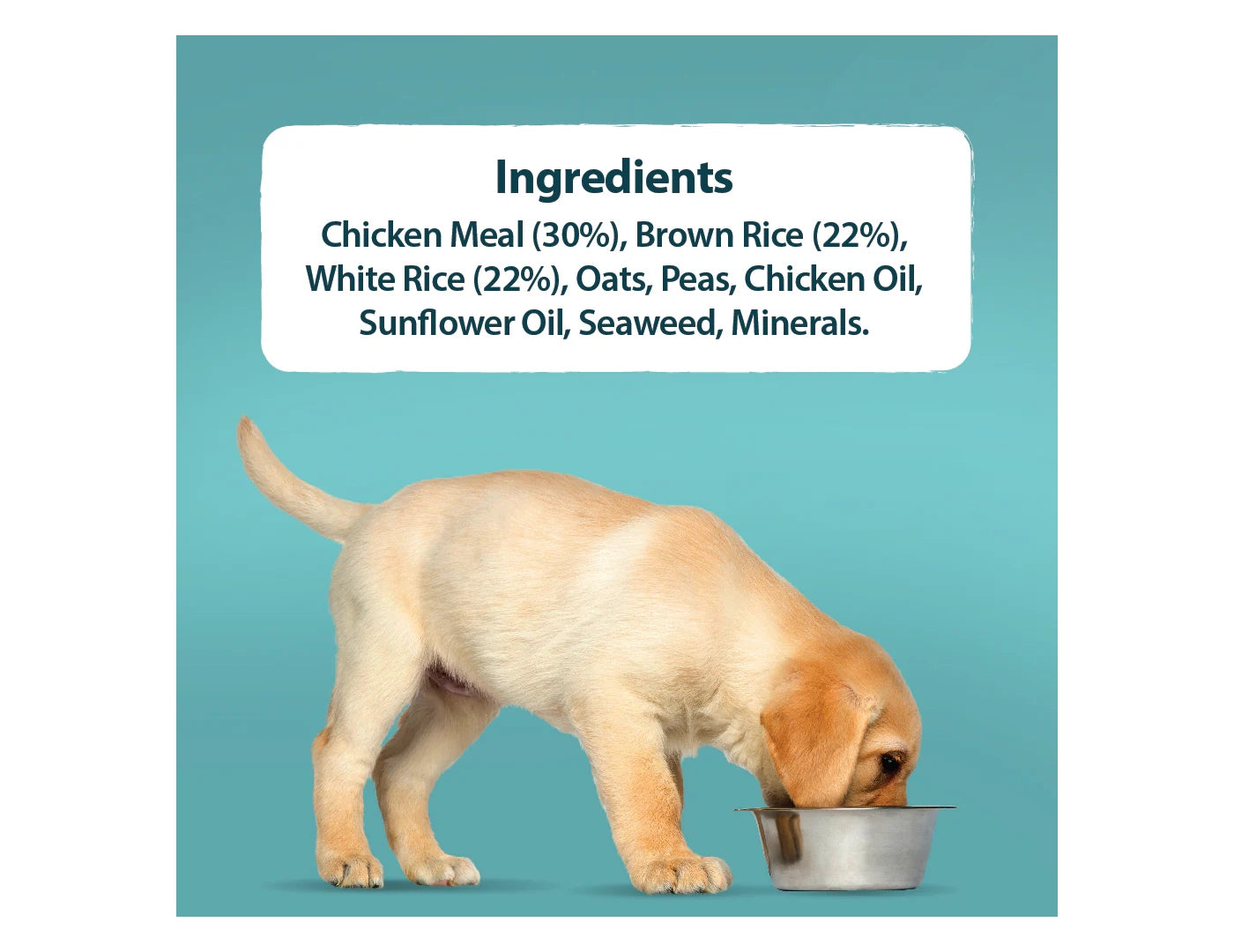 Burns - Puppy/Junior Chicken & Rice 2kg - Buy Online SPR Centre UK