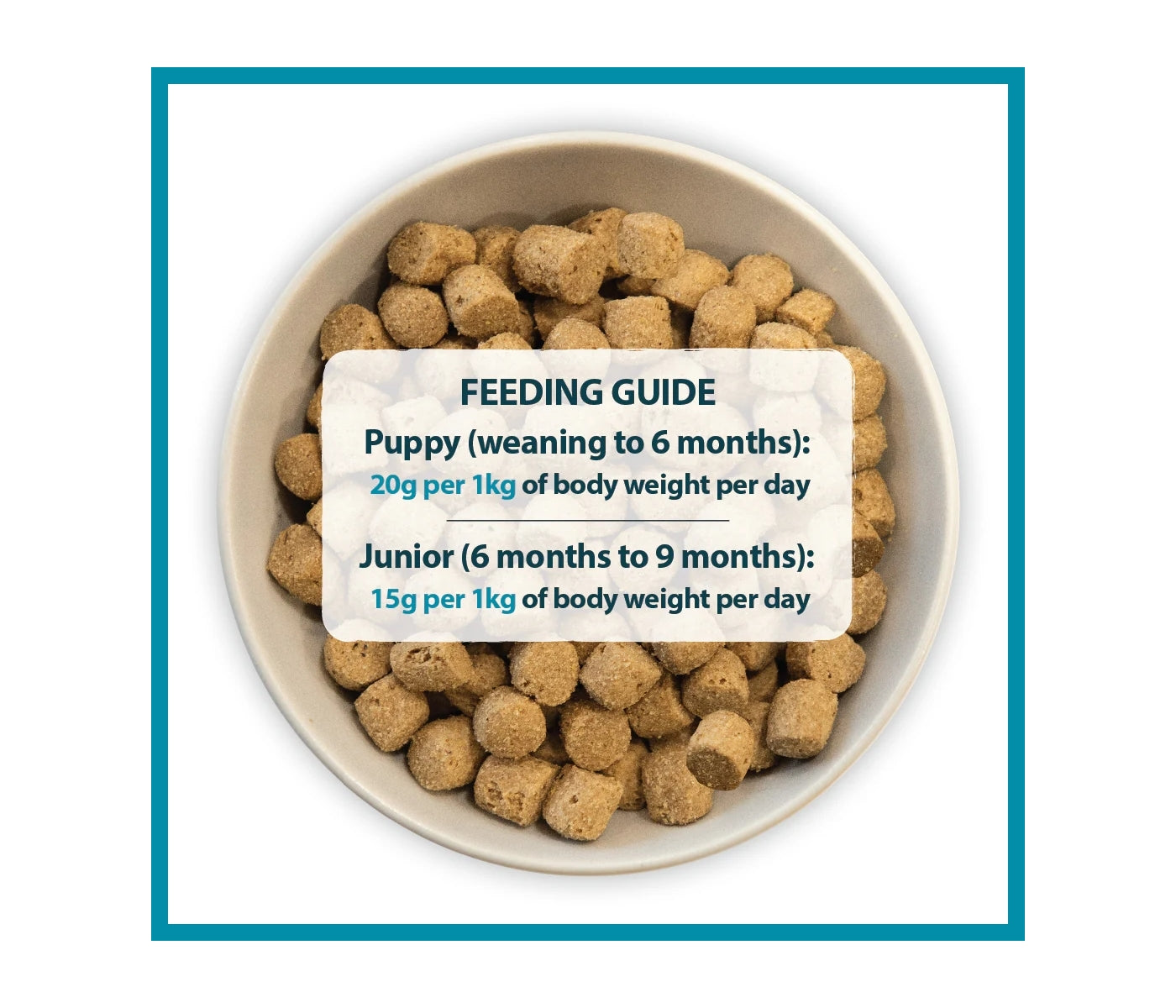 Burns - Puppy/Junior Lamb & Rice - Buy Online SPR Centre UK