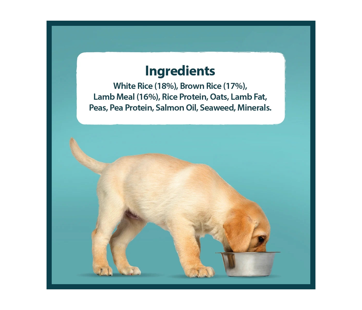 Burns - Puppy/Junior Lamb & Rice - Buy Online SPR Centre UK