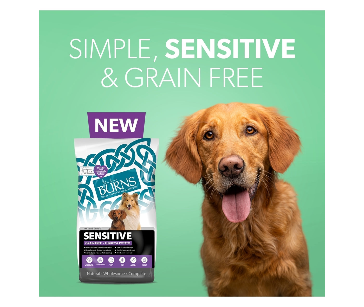 Burns free from dog food clearance