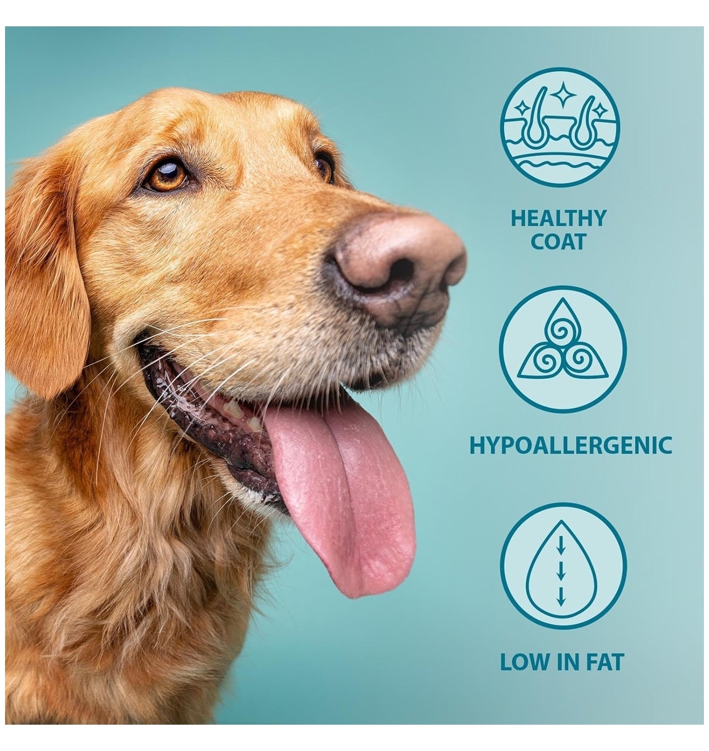 Burns Toy & Small Breed Dog Food - Buy Online SPR Centre UK