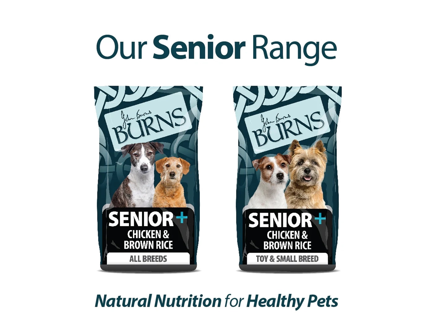 Burns - Senior+ Toy & Small Breed Dog Food - Buy Online SPR Centre UK
