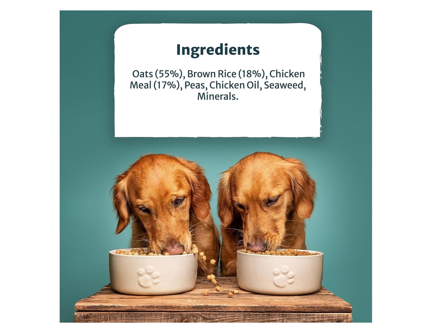 Burns Weight Control Adult/Senior Dog Food (Chicken & Oats) - Buy Online SPR Centre UK