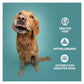 Burns - Wet Dog Food Variety Box 8x395g Pouches - Buy Online SPR Centre UK