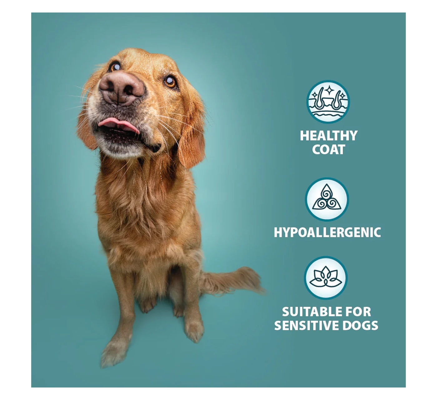 Burns - Wet Dog Food Variety Box 8x395g Pouches - Buy Online SPR Centre UK