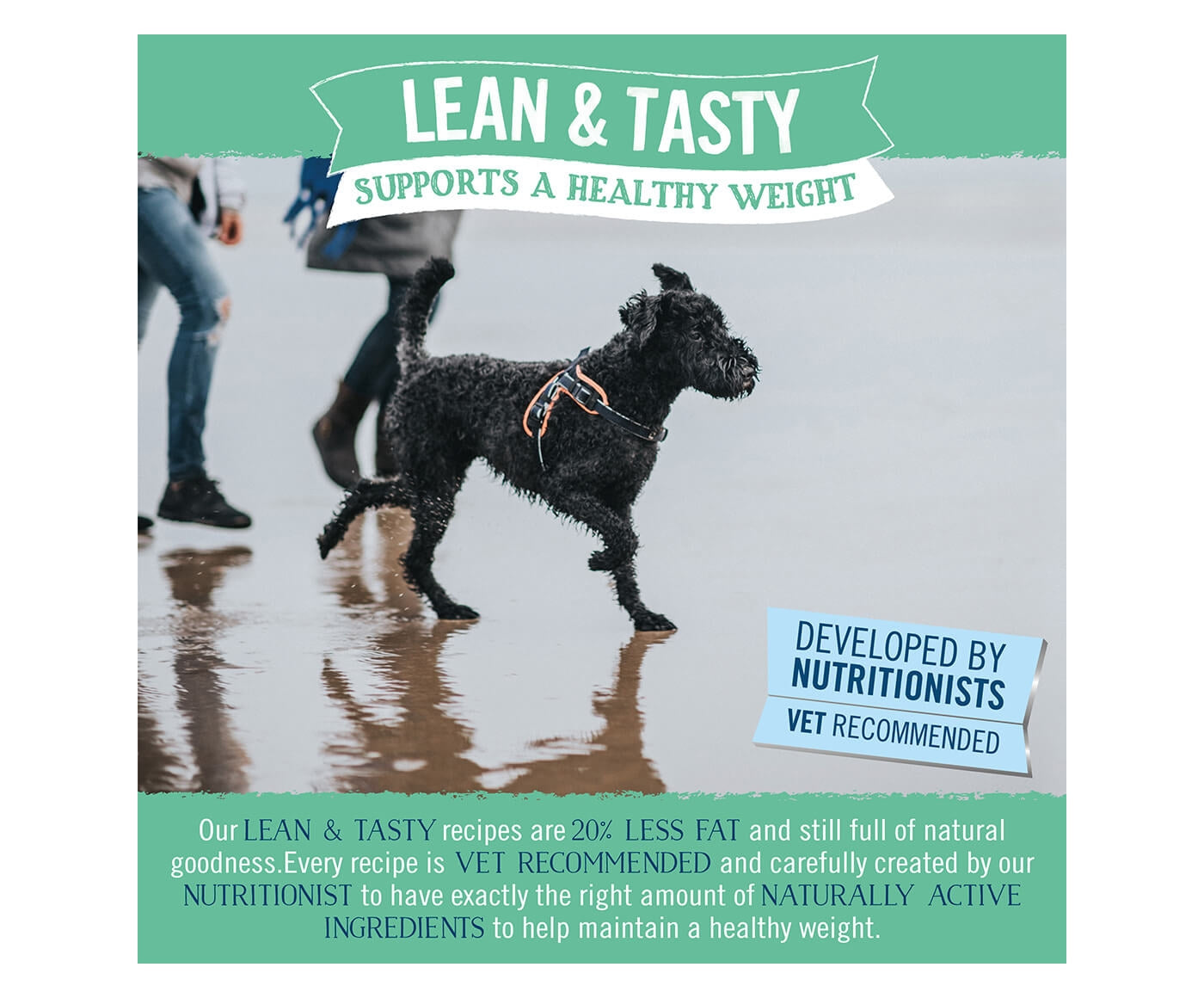 Butchers - Wholegrain Lean & Tasty Wet Dog Food - 6 x 390g Cans - Buy Online SPR Centre UK