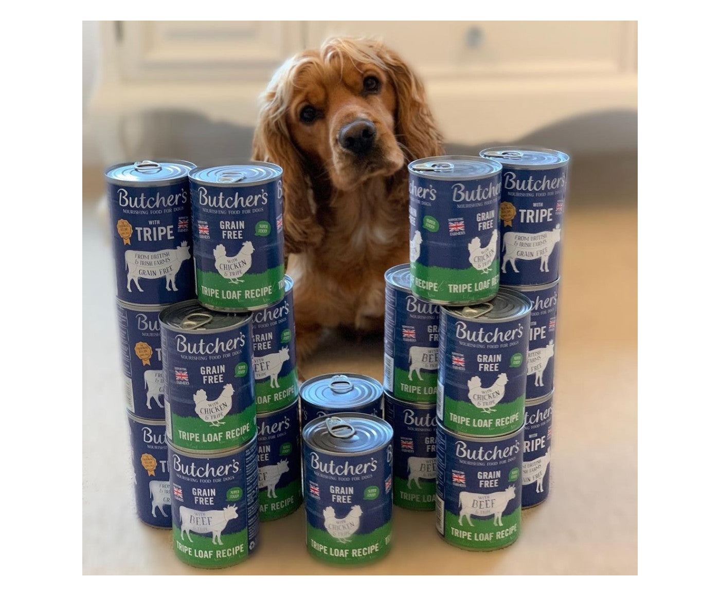 Butchers - Chicken & Tripe (12 x 400g Cans) - Buy Online SPR Centre UK