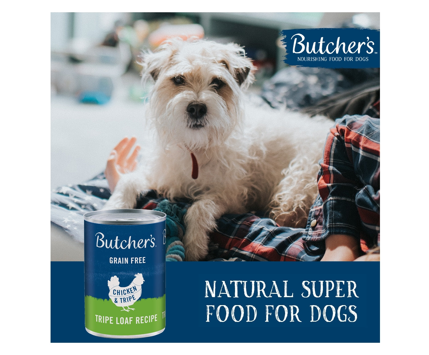 Butchers - Chicken & Tripe (12 x 400g Cans) - Buy Online SPR Centre UK