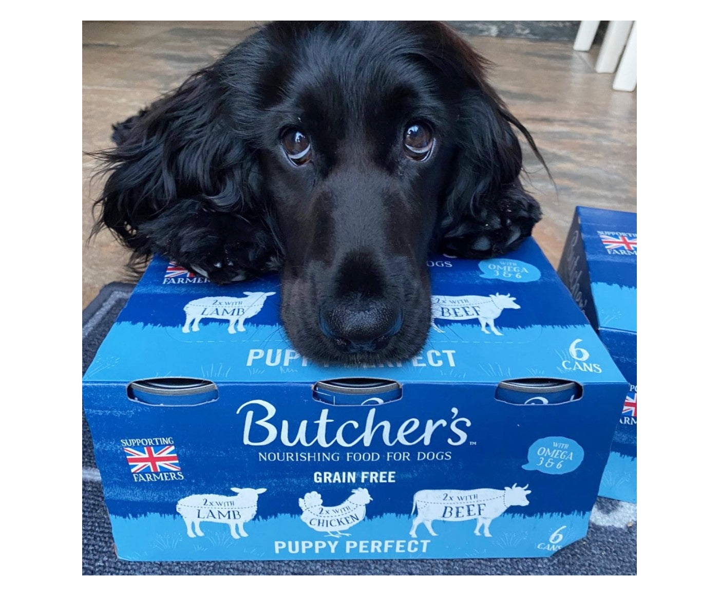 Butchers - Grain Free Puppy Perfect Variety Pack 6x400g - Buy Online SPR Centre UK