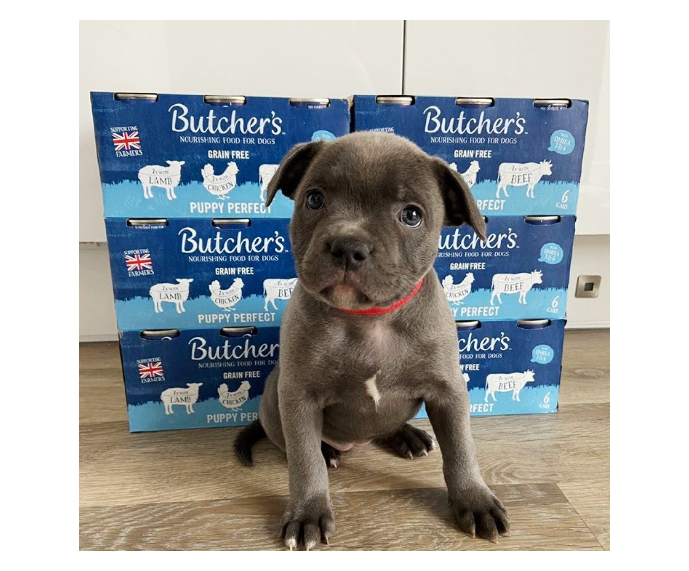 Butchers - Grain Free Puppy Perfect Variety Pack 6x400g - Buy Online SPR Centre UK