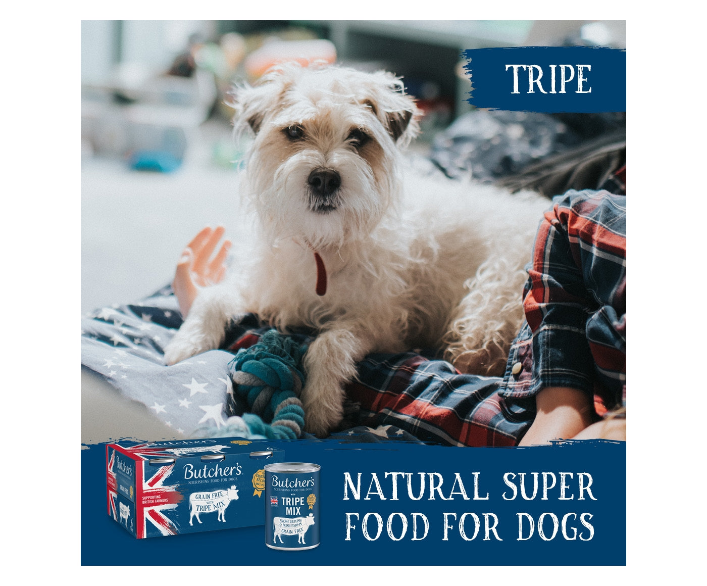Butchers - Original Tripe (12 x 400g Cans) - Buy Online SPR Centre UK