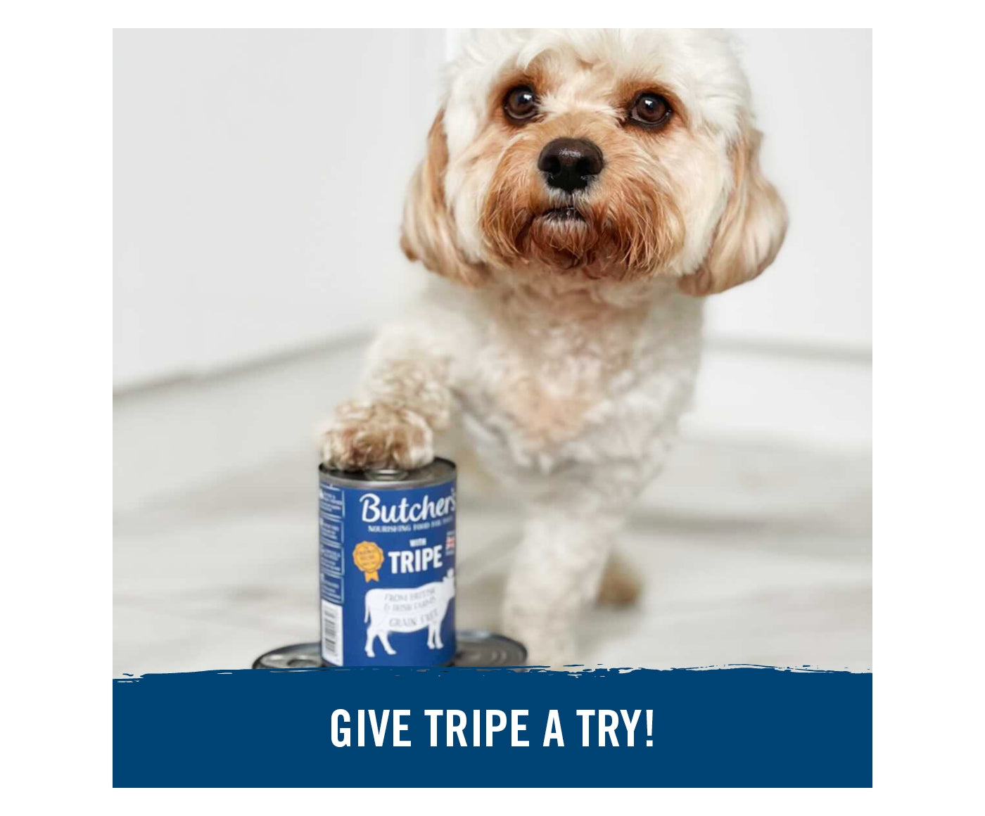 Butchers - Original Tripe (12 x 400g Cans) - Buy Online SPR Centre UK