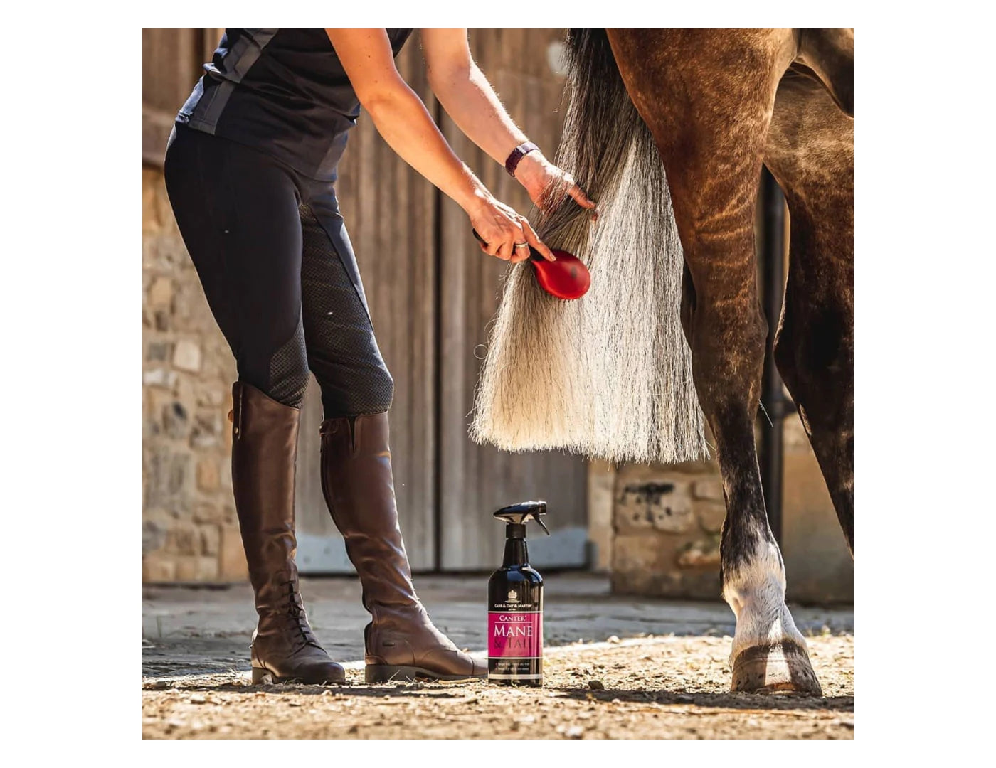 Carr & Day & Martin Canter® Mane & Tail - Mirjam Horse Products Carr & Day & Martin Canter® Mane & Tail - Mirjam Horse Products