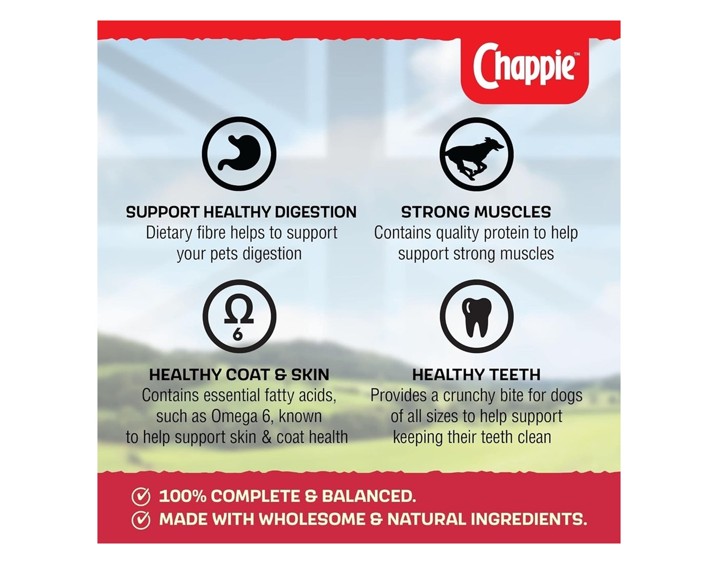 Chappie - Complete Adult Dog Food - Beef & Wholegrain Cereal - Buy Online SPR Centre UK