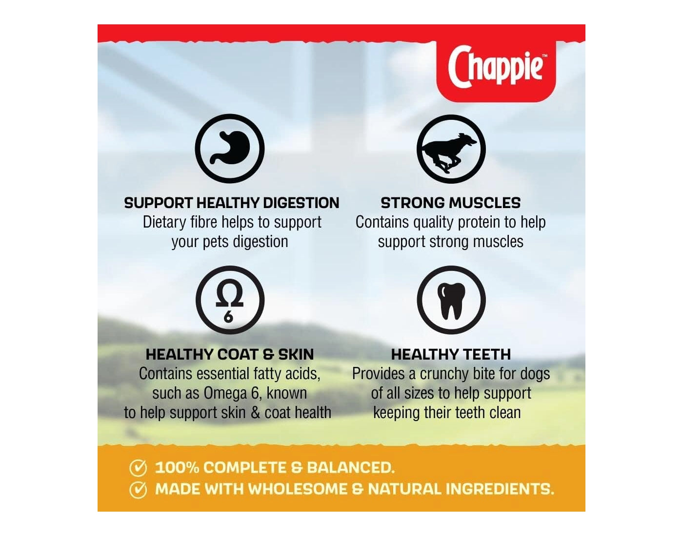 Chappie - Complete Adult Dog Food - Chicken & Wholegrain Cereal - Buy Online SPR Centre UK