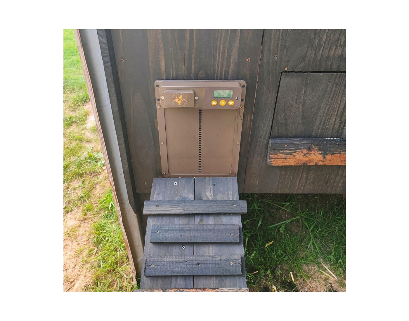 Chick'A - Automatic Chicken Coop Door Opener - Buy Online SPR Centre UK