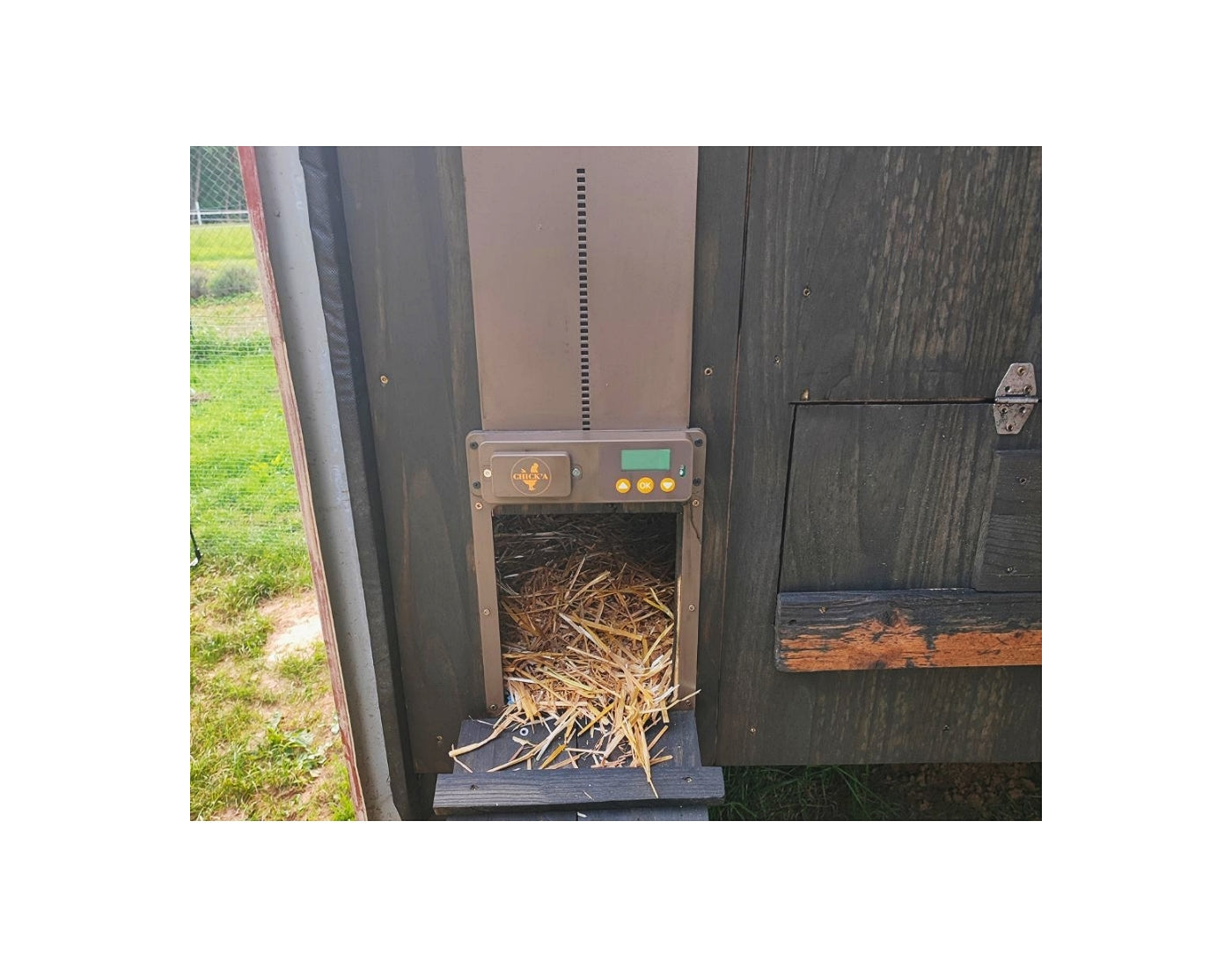 Chick'A - Automatic Chicken Coop Door Opener - Buy Online SPR Centre UK