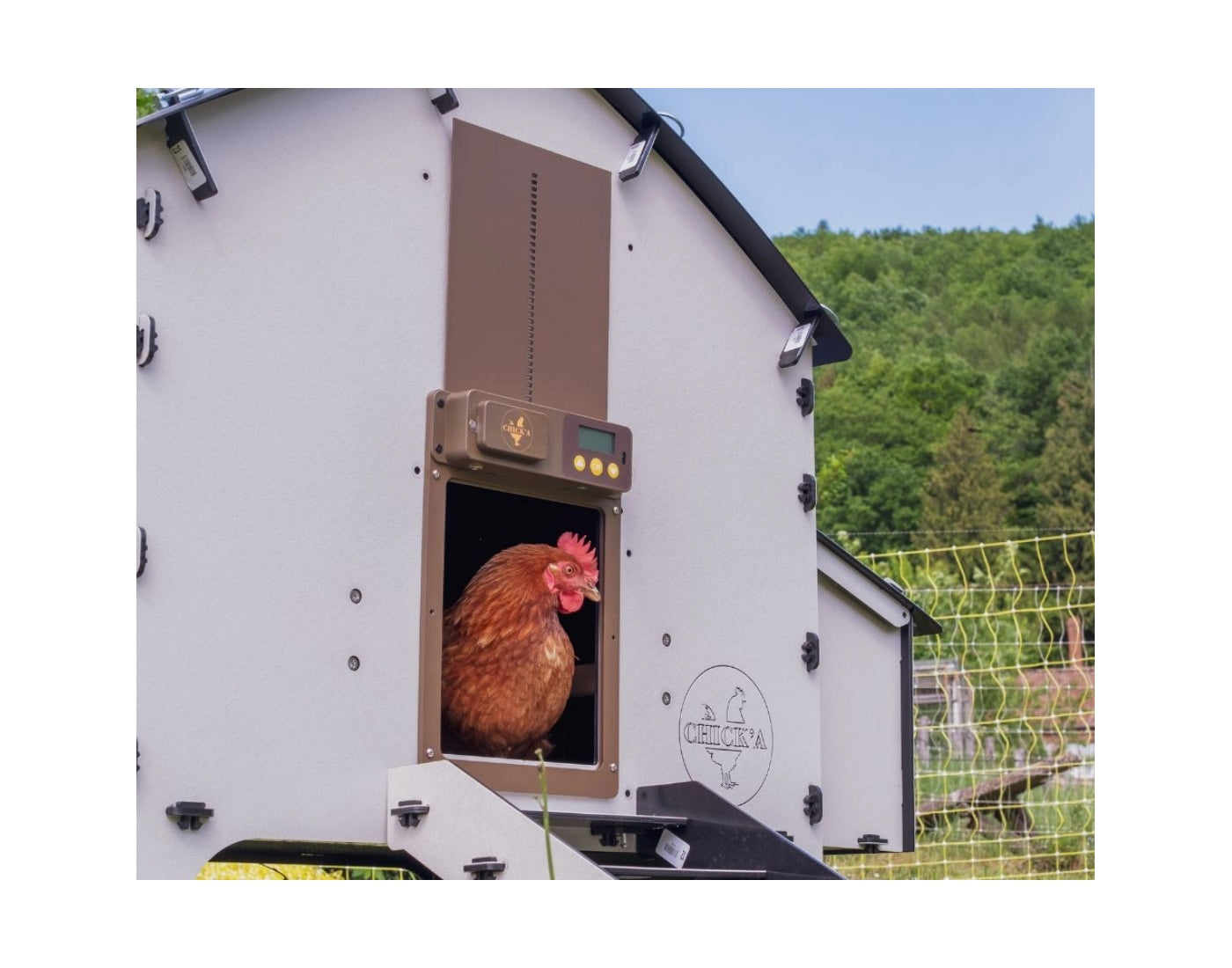 Chick'A - Automatic Chicken Coop Door Opener - Buy Online SPR Centre UK